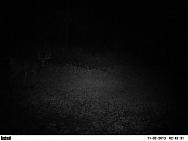 PICT0356