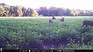 IMG 1425