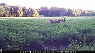 IMG 1426