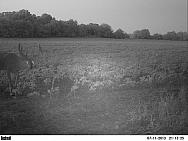 PICT0019