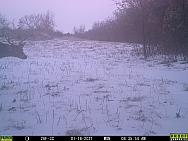 01180515