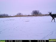 02090364