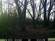 03030291