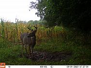 09010581