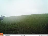 09090122