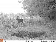 09090174