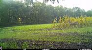 IMG 1640