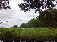 08010367