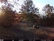11020904