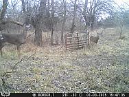 01030776