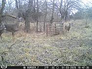 01030777