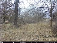 01040145