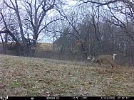 01040482