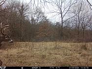 01040486 (2)