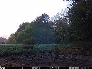 08030083