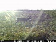 08090137