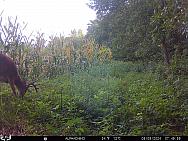 08090292
