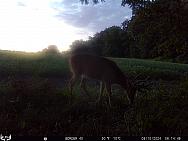 08100493