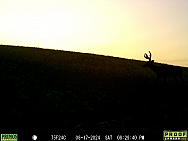 08170721