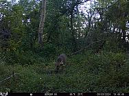 09030613