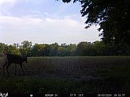09050108