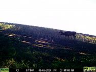 09060797