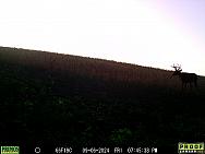 09060802