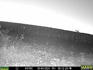 09060810