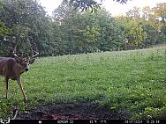 09070322
