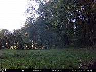 09070990