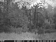 09080012