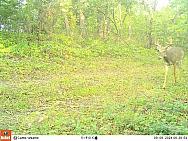 09080362