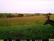 09080751