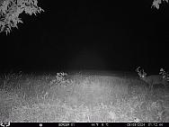 09090406