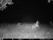 09090408