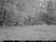 09090673