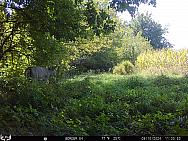 09100353