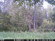 09110176