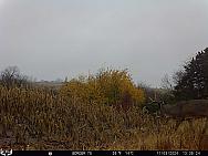 11030255