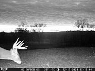 12110124