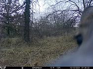 12120323