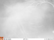 12160853
