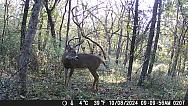 DSCF0207