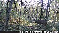 DSCF0234