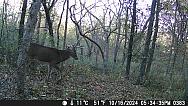 DSCF0383