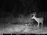 07170346