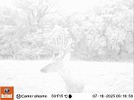 07180450