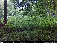 08060014