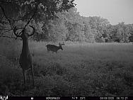 08080281