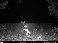 08100524